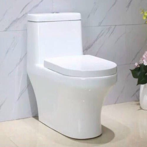 Bồn cầu liền khối Dakoshi C993