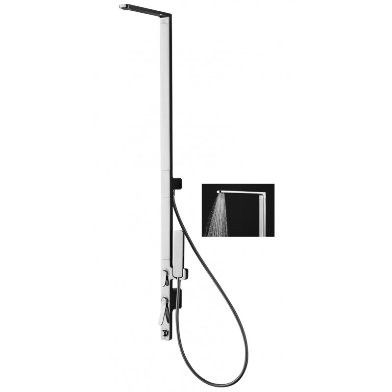 Sen Cây ToTo DM912CAF