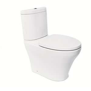 Bàn Cầu Hai Khối ToTo CS818DT3#XW